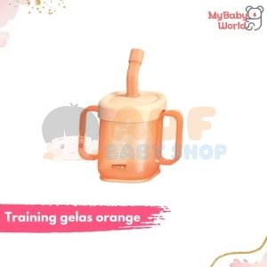 SM Curve Straw Cup (Orange)